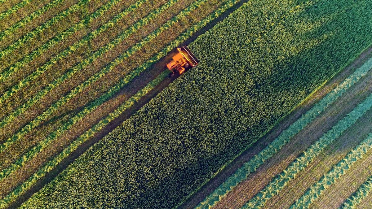 Potash Power Play: Why This Overlooked Commodity Could Be Canada’s Trump Card